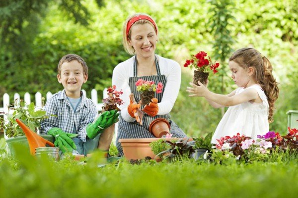 upload/events/1471957130_garden-care-family-flowers-plant.jpg
