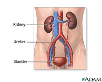 Urological Cancers