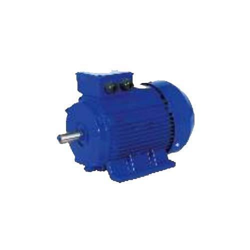 Induction Motor