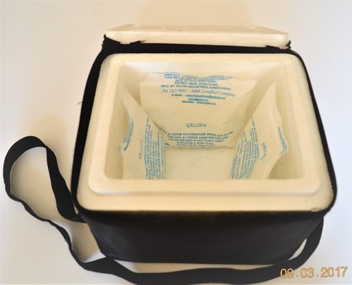 Insulated Bag - With 3 nos of Ice Pack