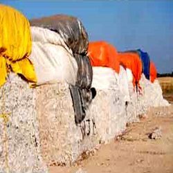 HDPE & PP Tarpaulins For Agriculture