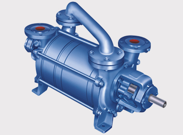 Two Stage Vacuum Pumps 