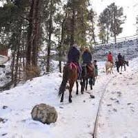 	 Shimla Manali Tour