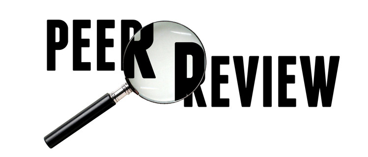 Peer Review Audit