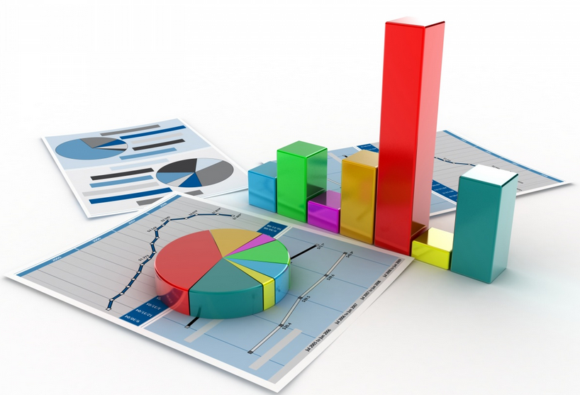 Project Report & Feasibility Studies