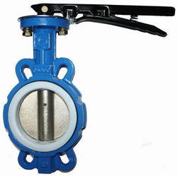 Teflon Lined Butterfly Valve