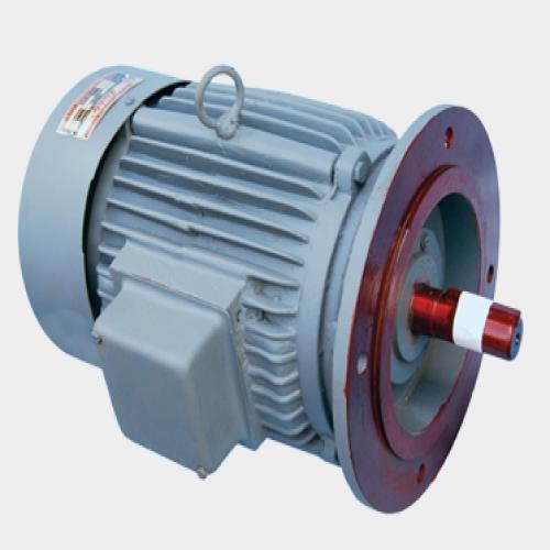 AC Squirrel Cage Flange Mounted Motor