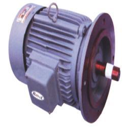 AC Square Cage Torque Motor