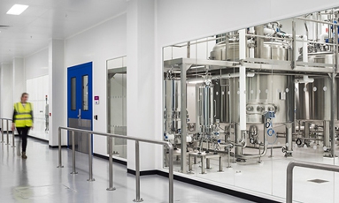 Pharma Project Consulting & Designing